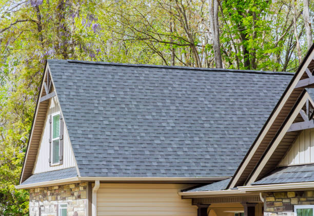 Best Roof Moss and Algae Removal  in Lufkin, TX